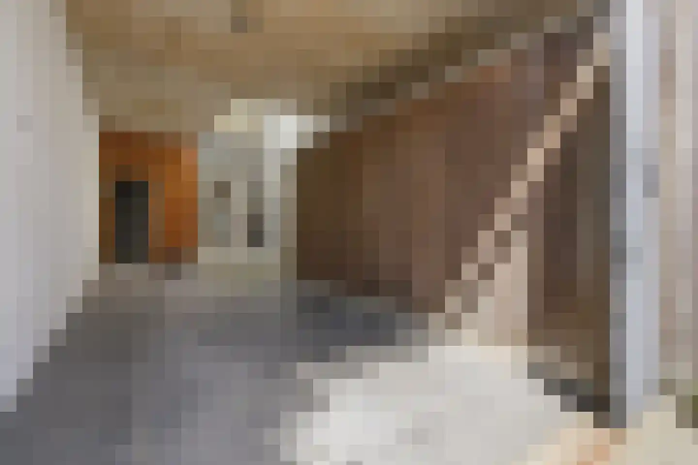 Seinwachterstraat 120 Amsterdam thumbnail 5