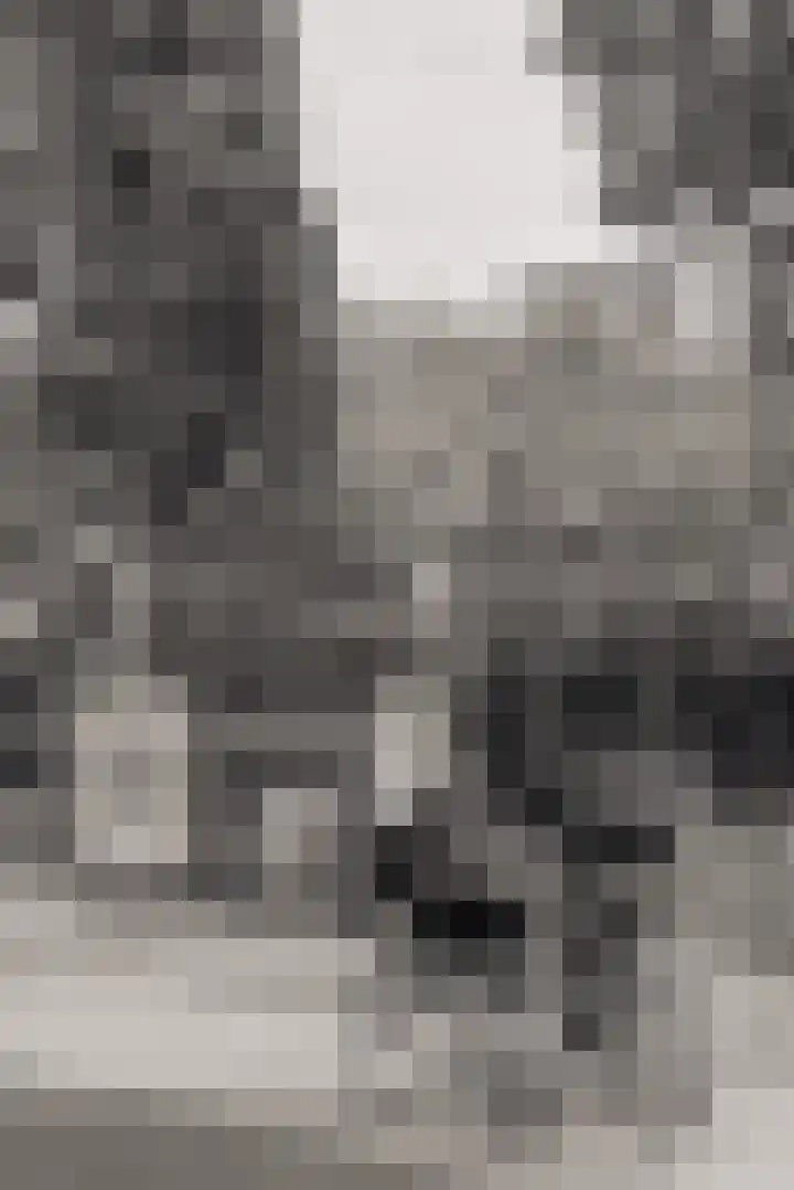 Seinwachterstraat 27 Amsterdam thumbnail 31