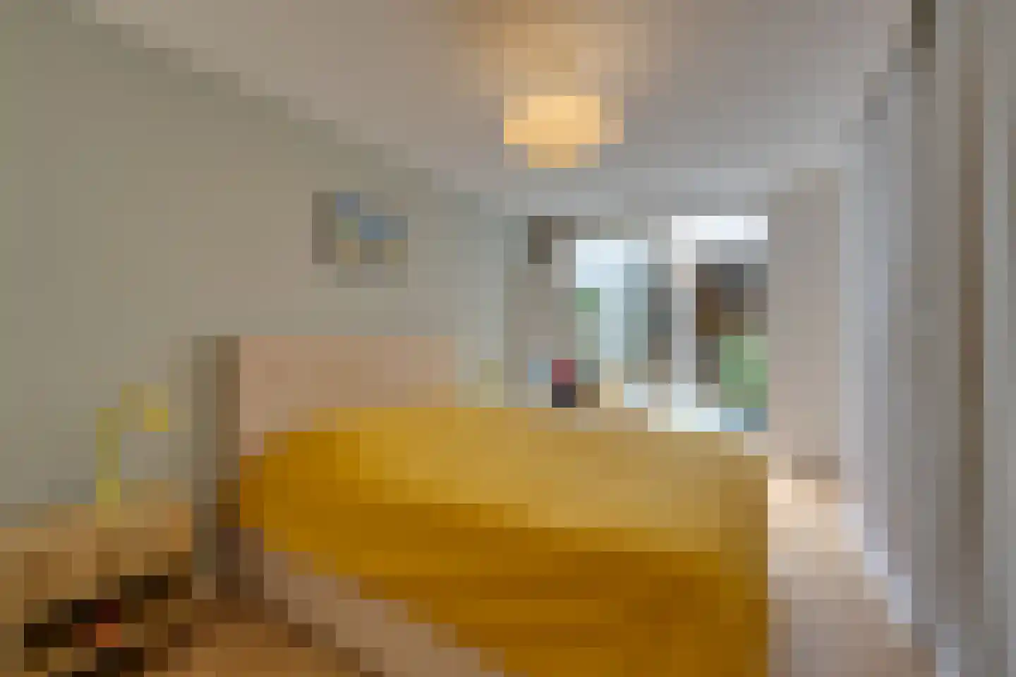 Seinwachterstraat 32 Amsterdam thumbnail 15