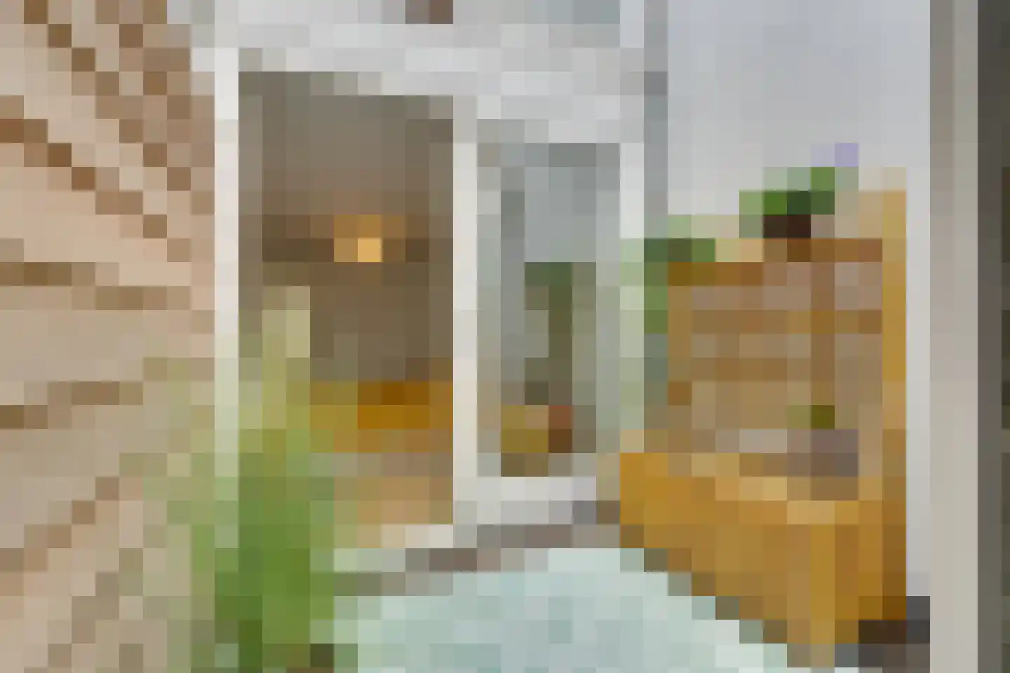 Seinwachterstraat 32 Amsterdam thumbnail 16
