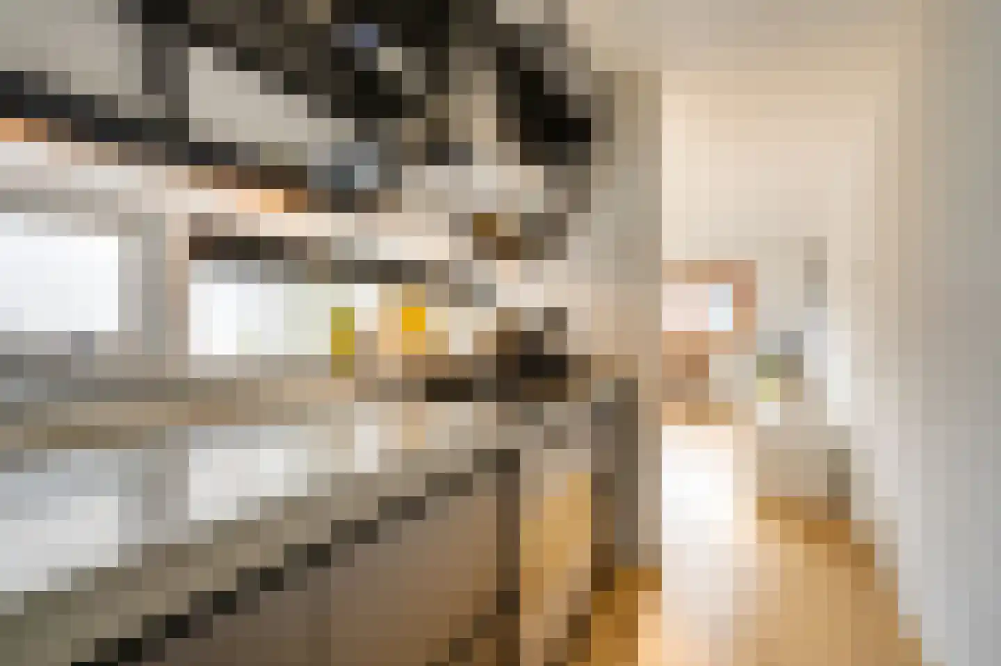 Seinwachterstraat 32 Amsterdam thumbnail 8