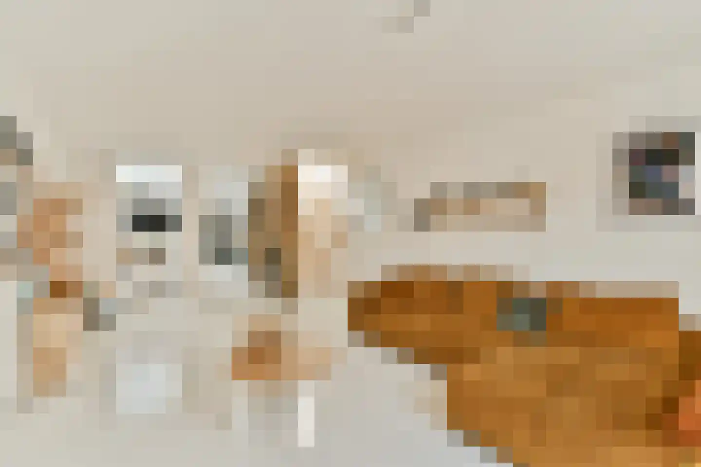 Seinwachterstraat 35 Amsterdam thumbnail 6