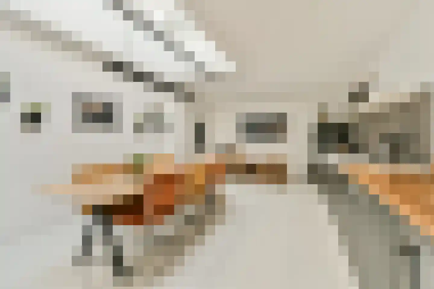 Seinwachterstraat 35 Amsterdam thumbnail 8