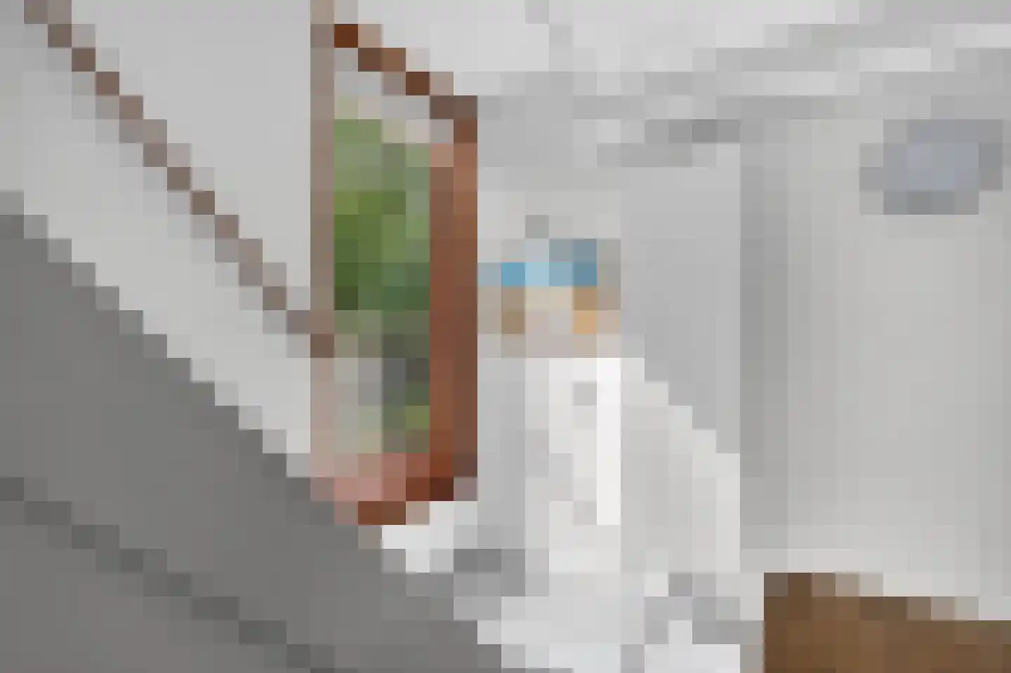 Seinwachterstraat 66 Amsterdam thumbnail 32