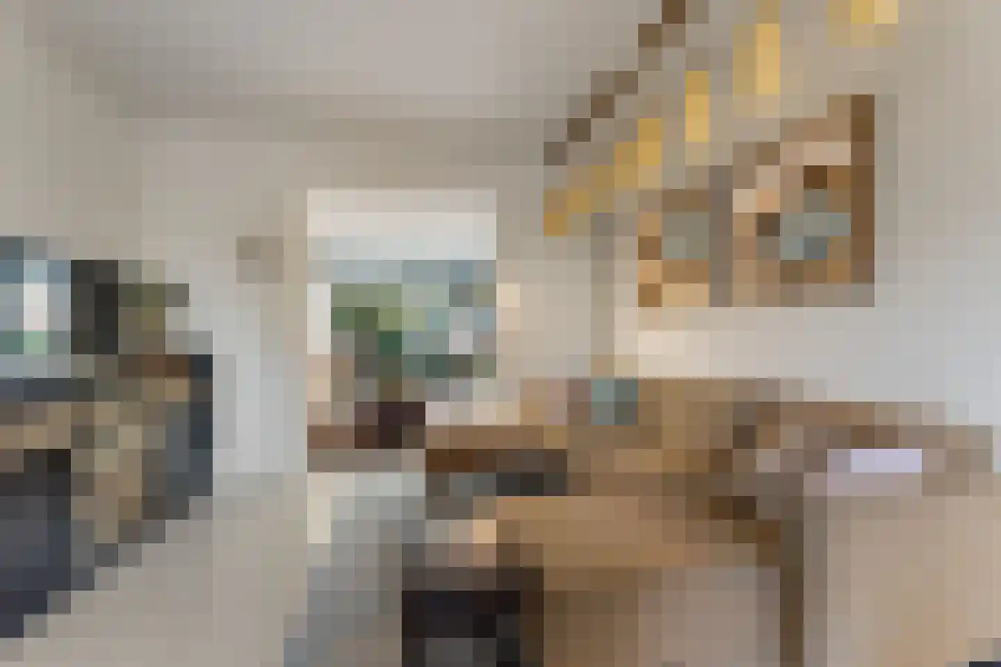 Seipgensstraat 18 Geleen thumbnail 20