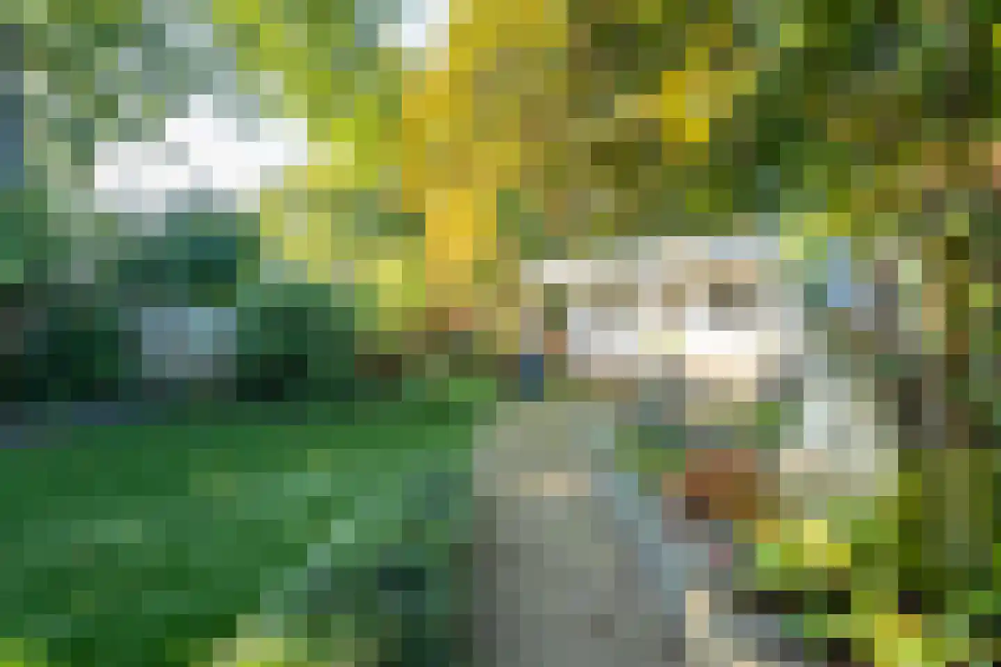 Seipgensstraat 18 Geleen thumbnail 26