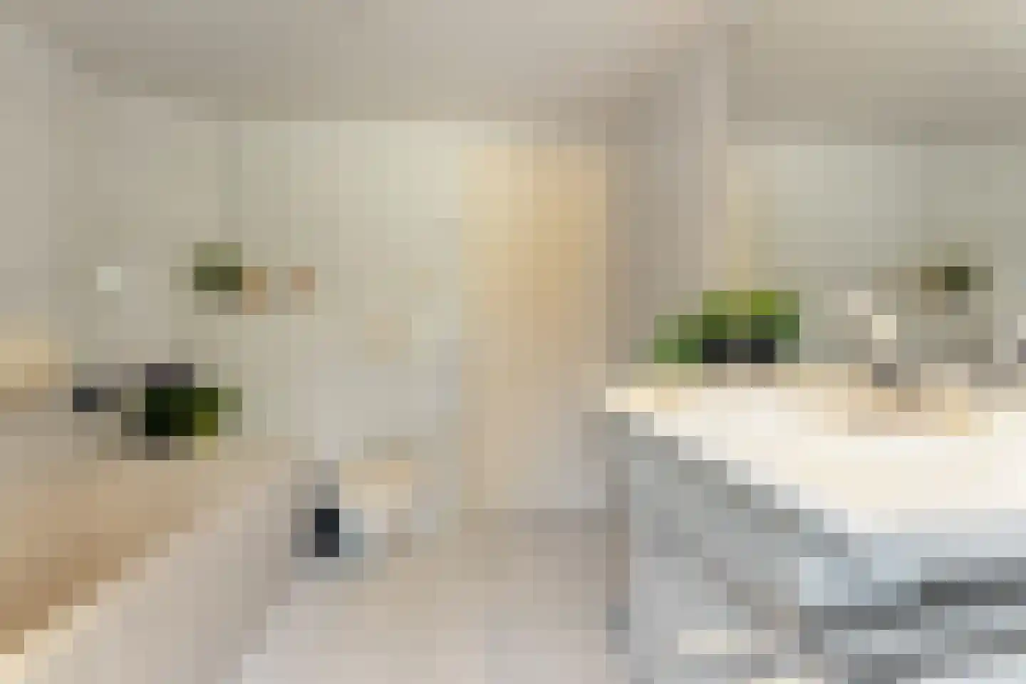 Seipgensstraat 18 Geleen thumbnail 30