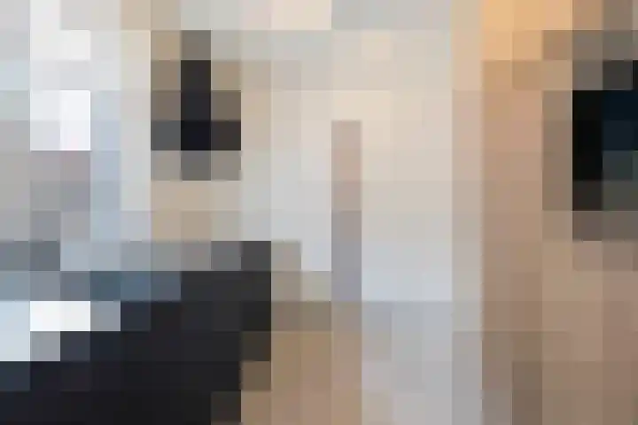 Seipgensstraat 3 Geleen thumbnail 22