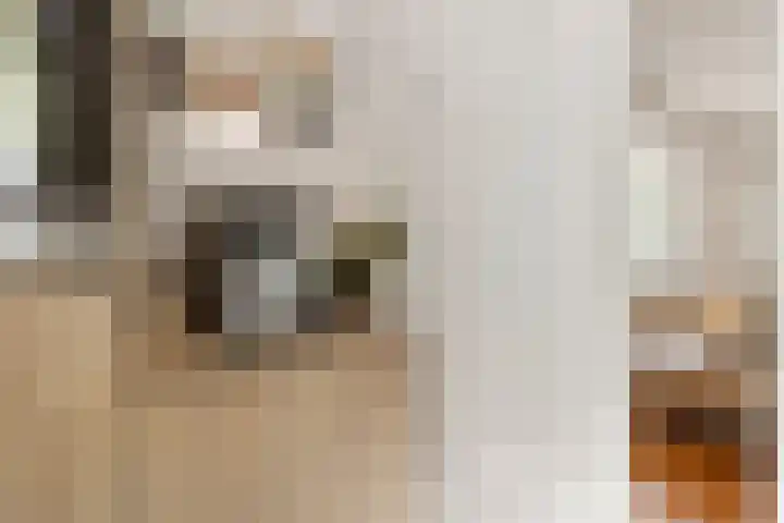 Seipgensstraat 3 Geleen thumbnail 24