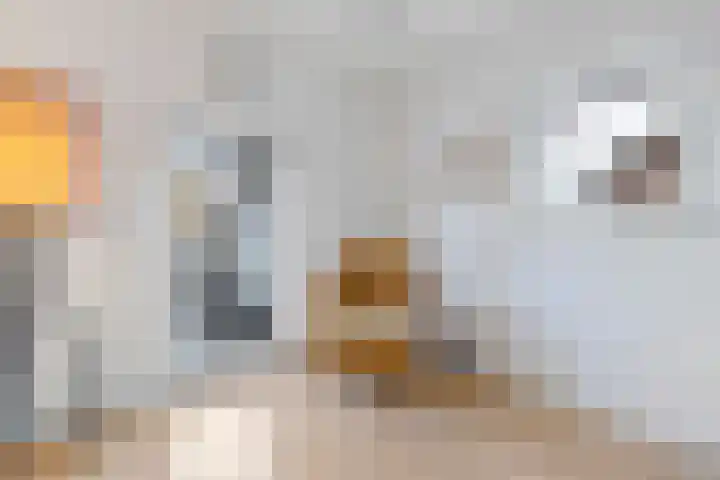 Seipgensstraat 3 Geleen thumbnail 30