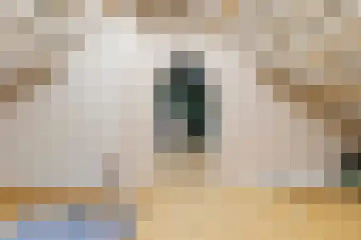 Seipgensstraat 3 Geleen thumbnail 36