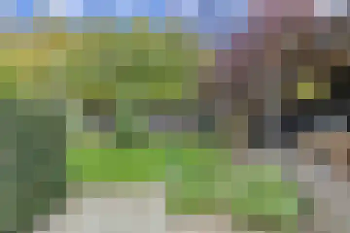 Seipgensstraat 3 Geleen thumbnail 39