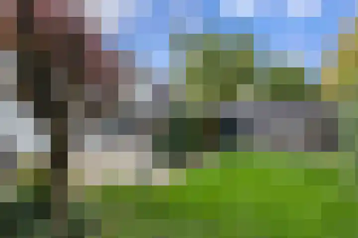 Seipgensstraat 3 Geleen thumbnail 41