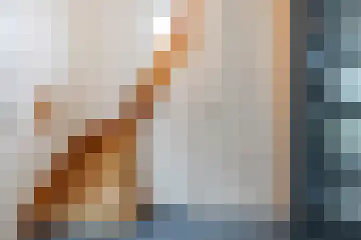 Seipgensstraat 3 Geleen thumbnail 6