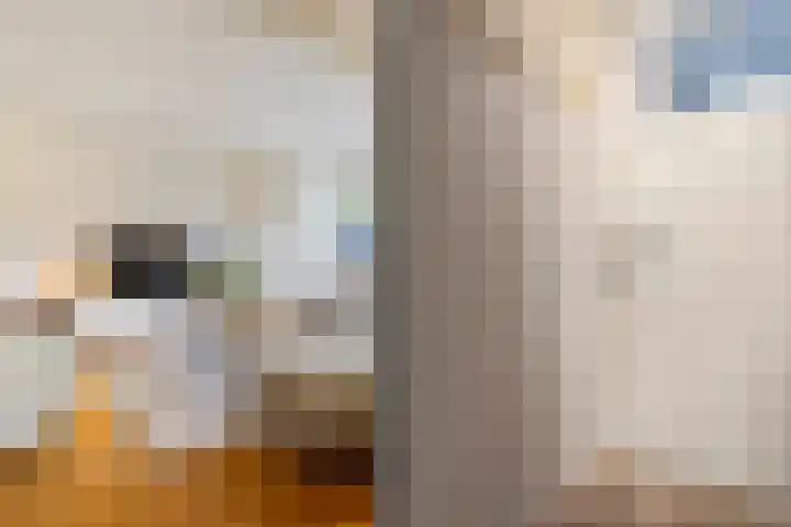 Seipgensstraat 3 Geleen thumbnail 7