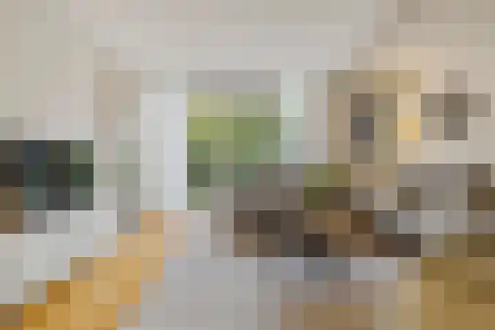 Seipgensstraat 3 Geleen thumbnail 9