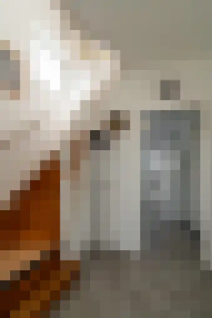 Seipgensstraat 4 Geleen thumbnail 23