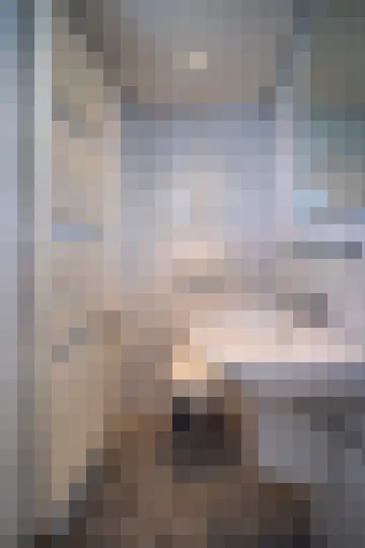 Seipgensstraat 4 Geleen thumbnail 29