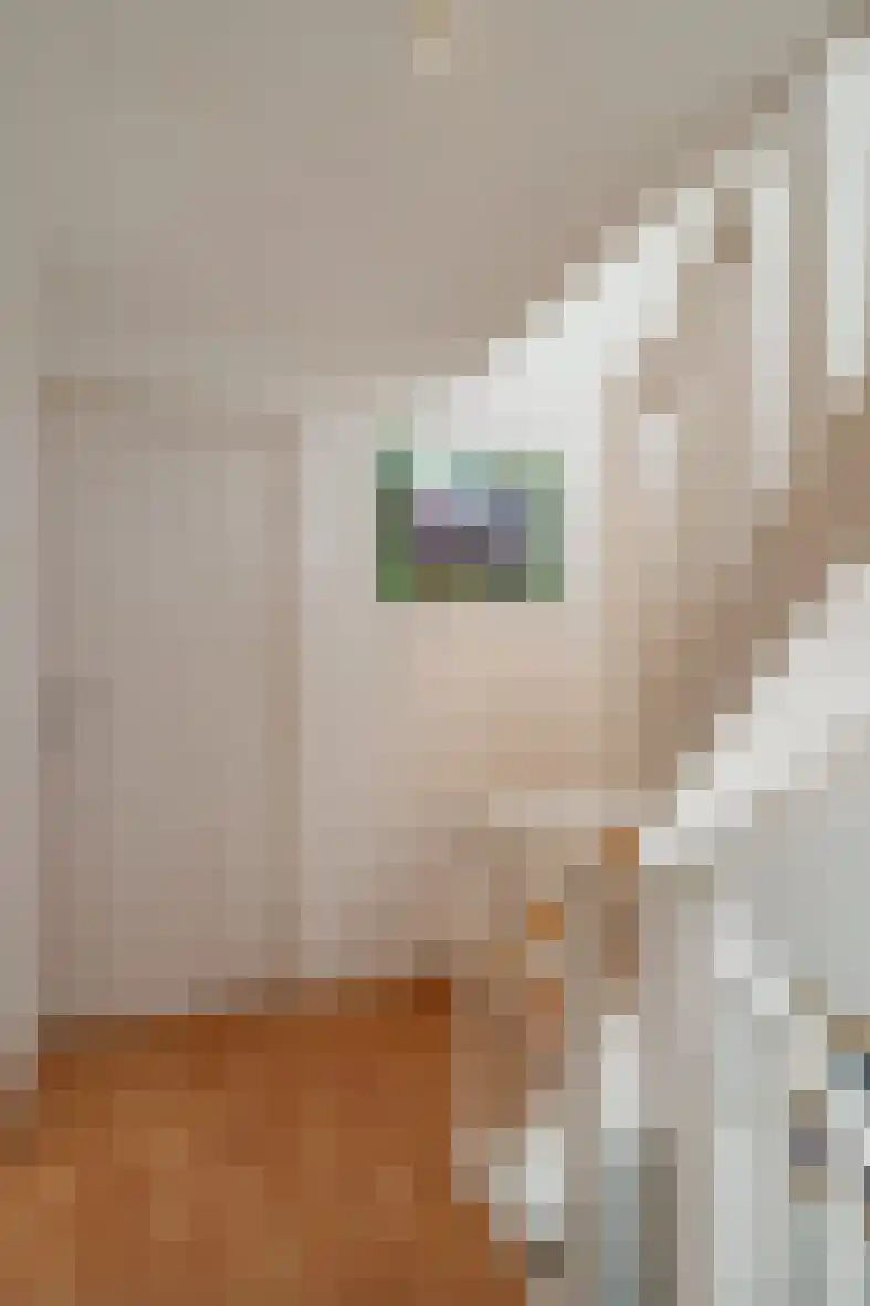 Seipgensstraat 4 Geleen thumbnail 31