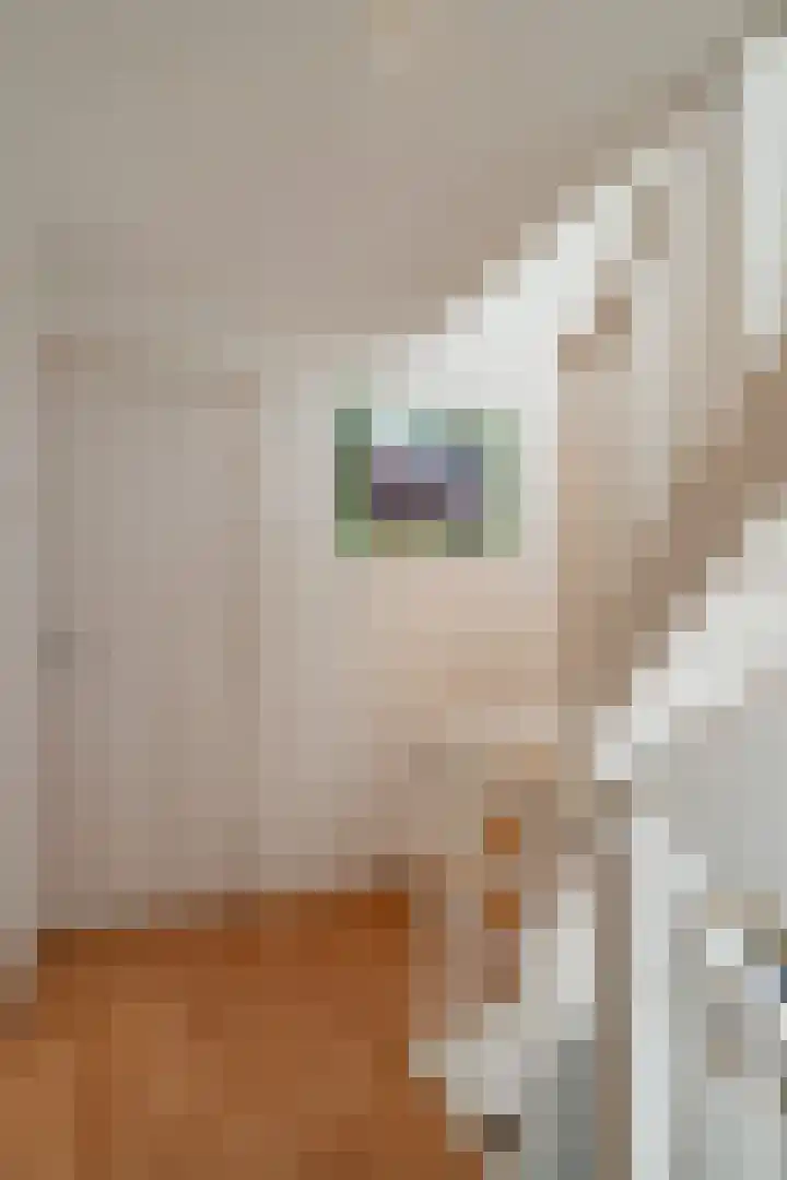 Seipgensstraat 4 Geleen thumbnail 31