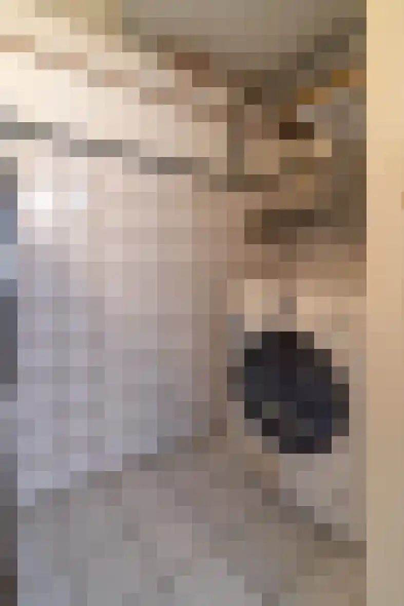 Seipgensstraat 4 Geleen thumbnail 39