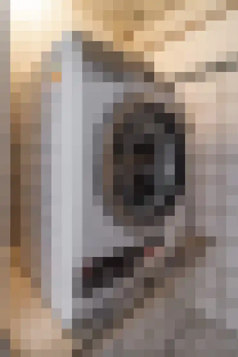 Seipgensstraat 4 Geleen thumbnail 40