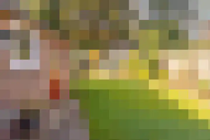 Seipgensstraat 4 Geleen thumbnail 42