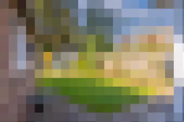 Seipgensstraat 4 Geleen thumbnail 43