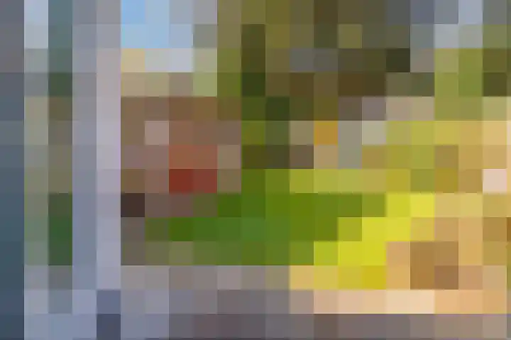 Seipgensstraat 4 Geleen thumbnail 44