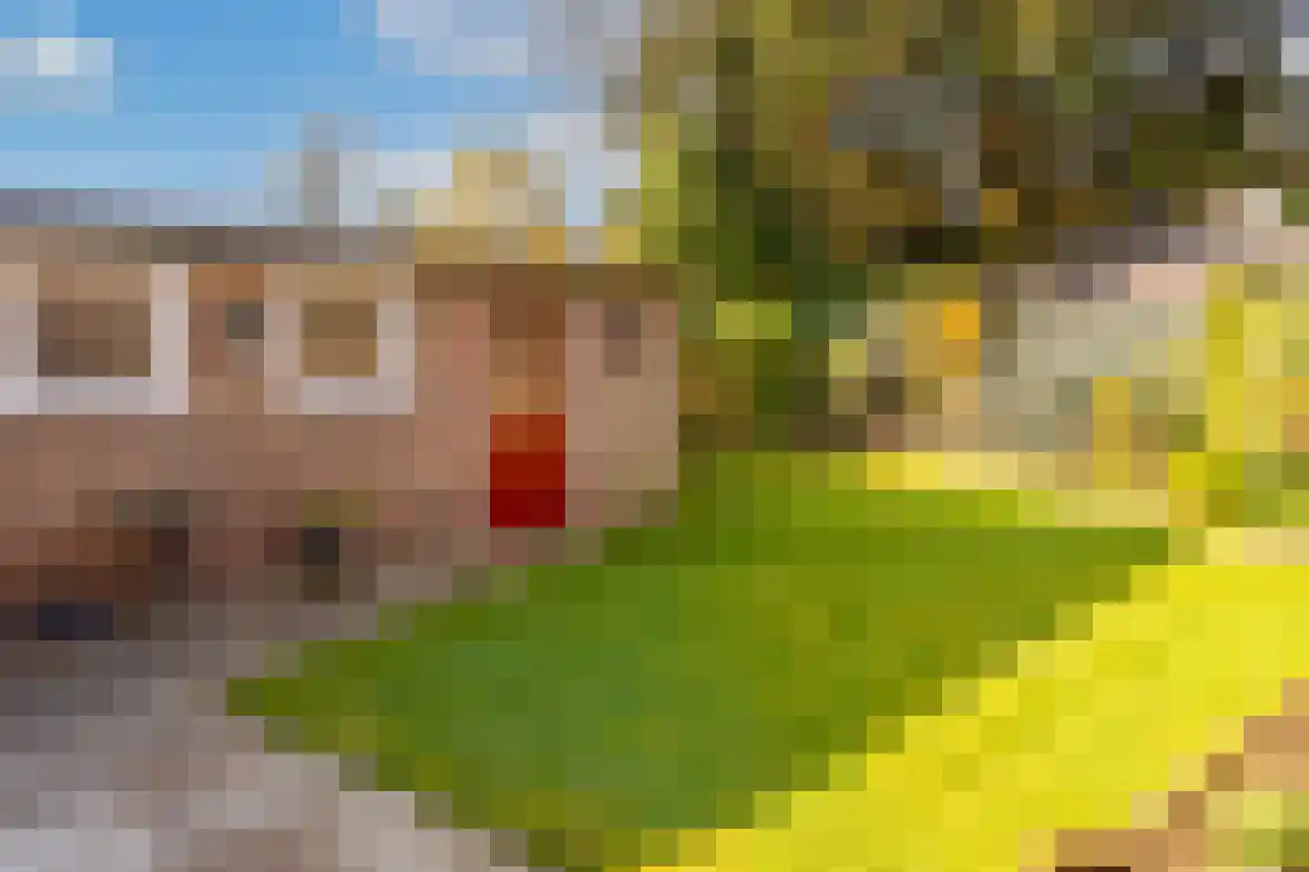 Seipgensstraat 4 Geleen thumbnail 46