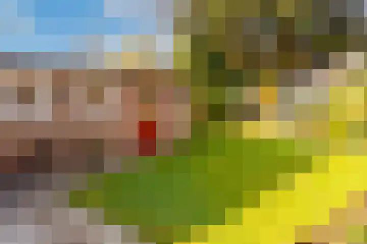 Seipgensstraat 4 Geleen thumbnail 46