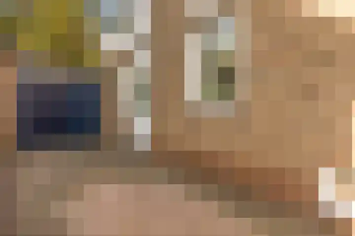 Seipgensstraat 4 Geleen thumbnail 48