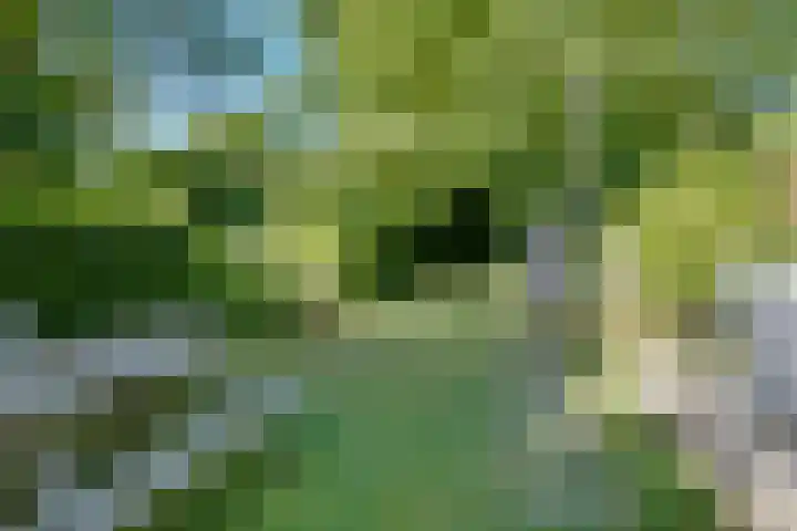 Seipgensstraat 42 Geleen thumbnail 30