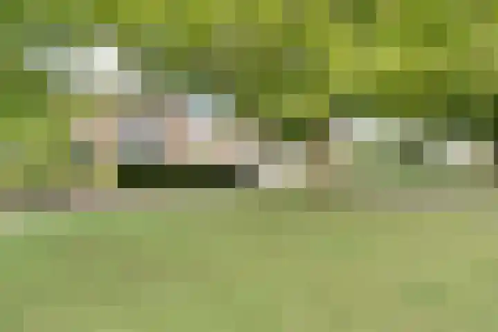Seipgensstraat 42 Geleen thumbnail 31