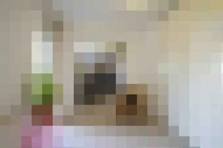 Seipgensstraat 54 Geleen thumbnail 30