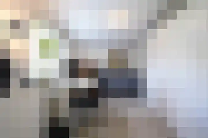 Seipgensstraat 54 Geleen thumbnail 31