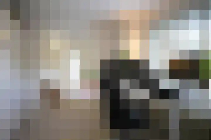 Seipgensstraat 54 Geleen thumbnail 32
