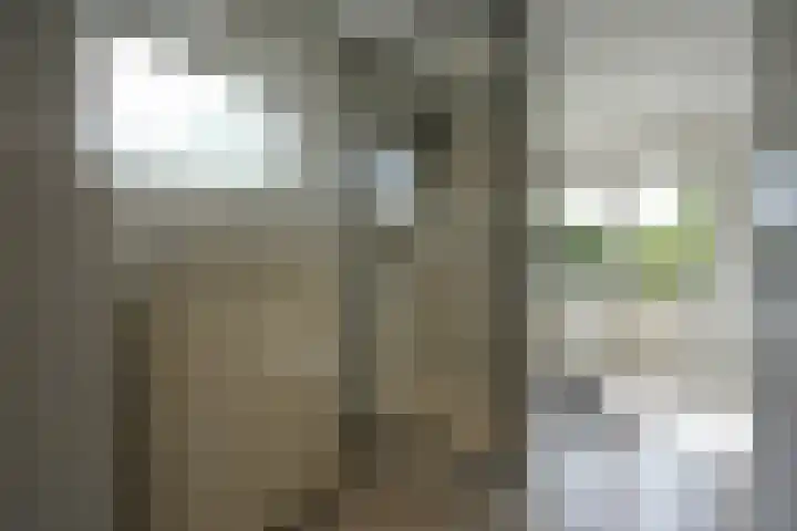Seipgensstraat 54 Geleen thumbnail 34