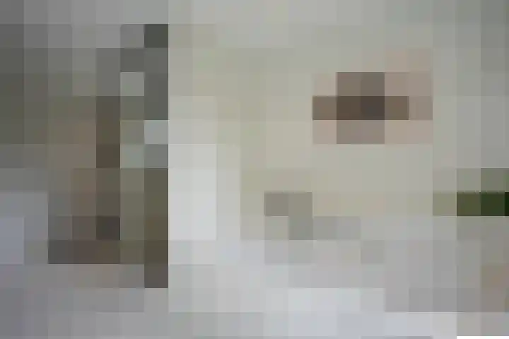 Seipgensstraat 54 Geleen thumbnail 36