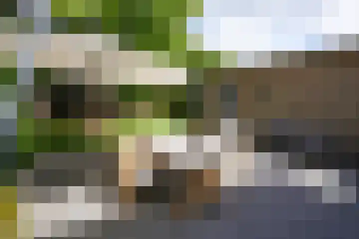 Seipgensstraat 54 Geleen thumbnail 38