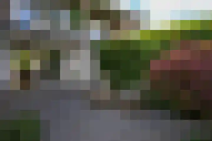 Seipgensstraat 54 Geleen thumbnail 41