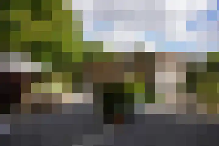 Seipgensstraat 54 Geleen thumbnail 42