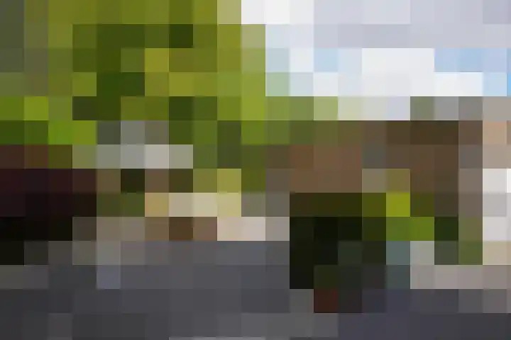 Seipgensstraat 54 Geleen thumbnail 43