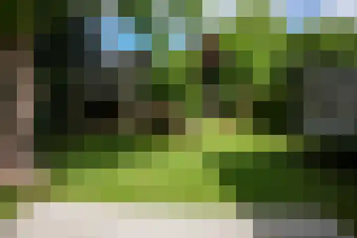 Seipgensstraat 54 Geleen thumbnail 45