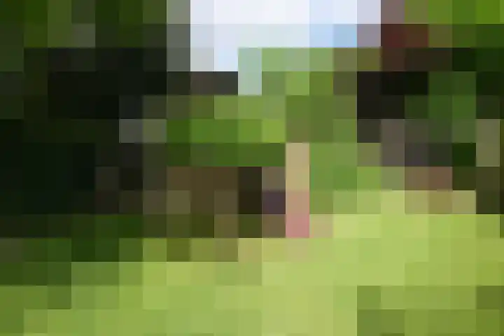 Seipgensstraat 54 Geleen thumbnail 46