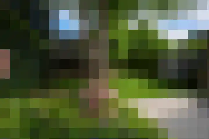 Seipgensstraat 54 Geleen thumbnail 47