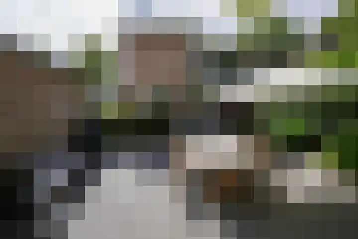Seipgensstraat 54 Geleen thumbnail 49
