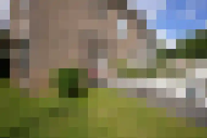 Seipgensstraat 54 Geleen thumbnail 6