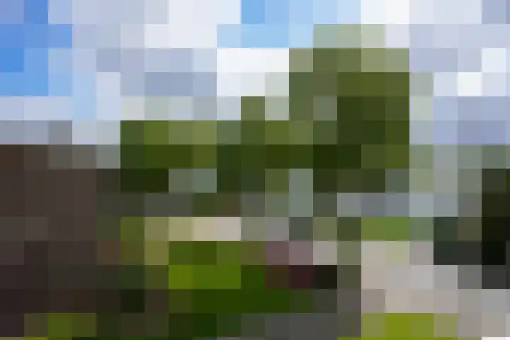 Seipgensstraat 54 Geleen thumbnail 9