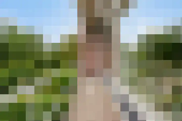 Seislaan 6 Middelburg thumbnail 17